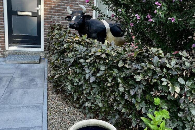 Cozy Holiday Home In Elim With A Furnished Garden 外观 照片